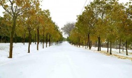 娱乐圈吃瓜新闻播报,明星恋情、绯闻、幕后故事大揭秘！