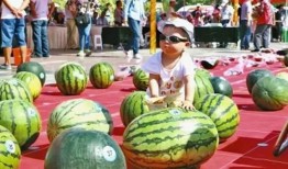 每日吃瓜大赛入口,揭秘娱乐圈幕后风云