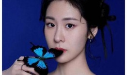 娱乐圈吃瓜爆料王琳凯,揭秘明星背后的故事