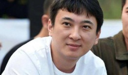 娱乐圈吃瓜真实故事原型,揭秘明星背后的真实瓜料